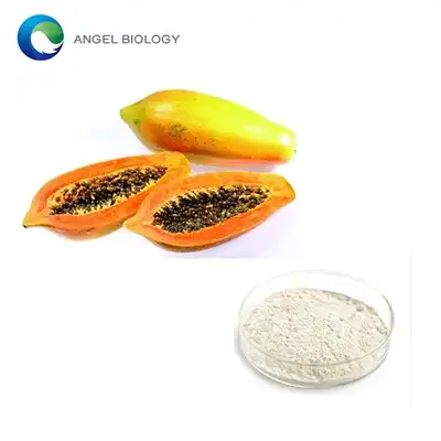 Papaya Extract Powder Guide: What It Is, How It’s Made, and Everyday Uses